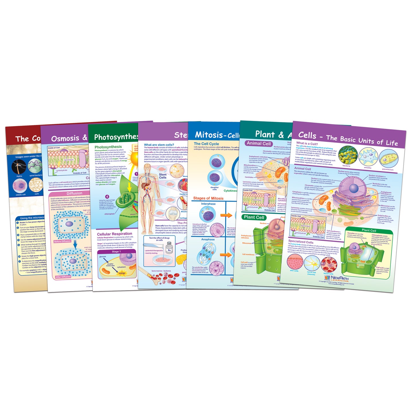 Cells Bulletin Board Chart Set, Grades 3-5