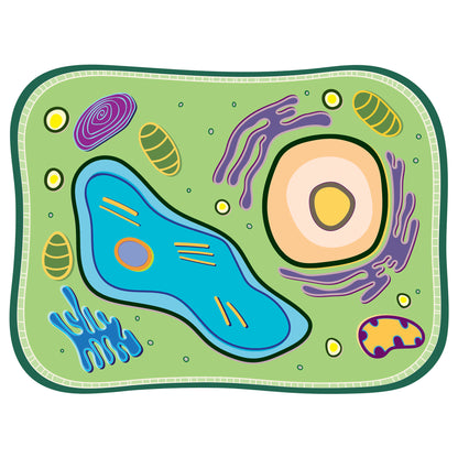 See-Through Plant Cell Builder