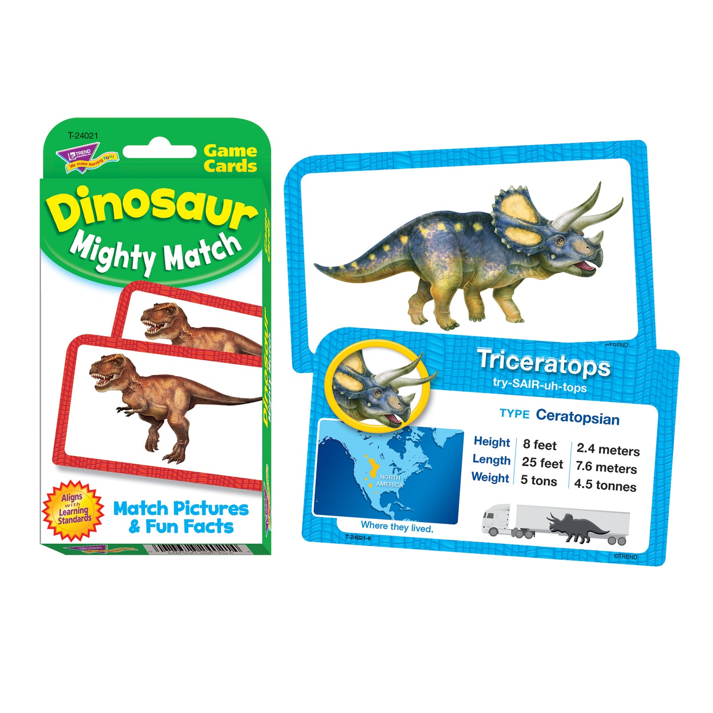 Dinosaur Mighty Match Challenge Cards®, 12 Packs