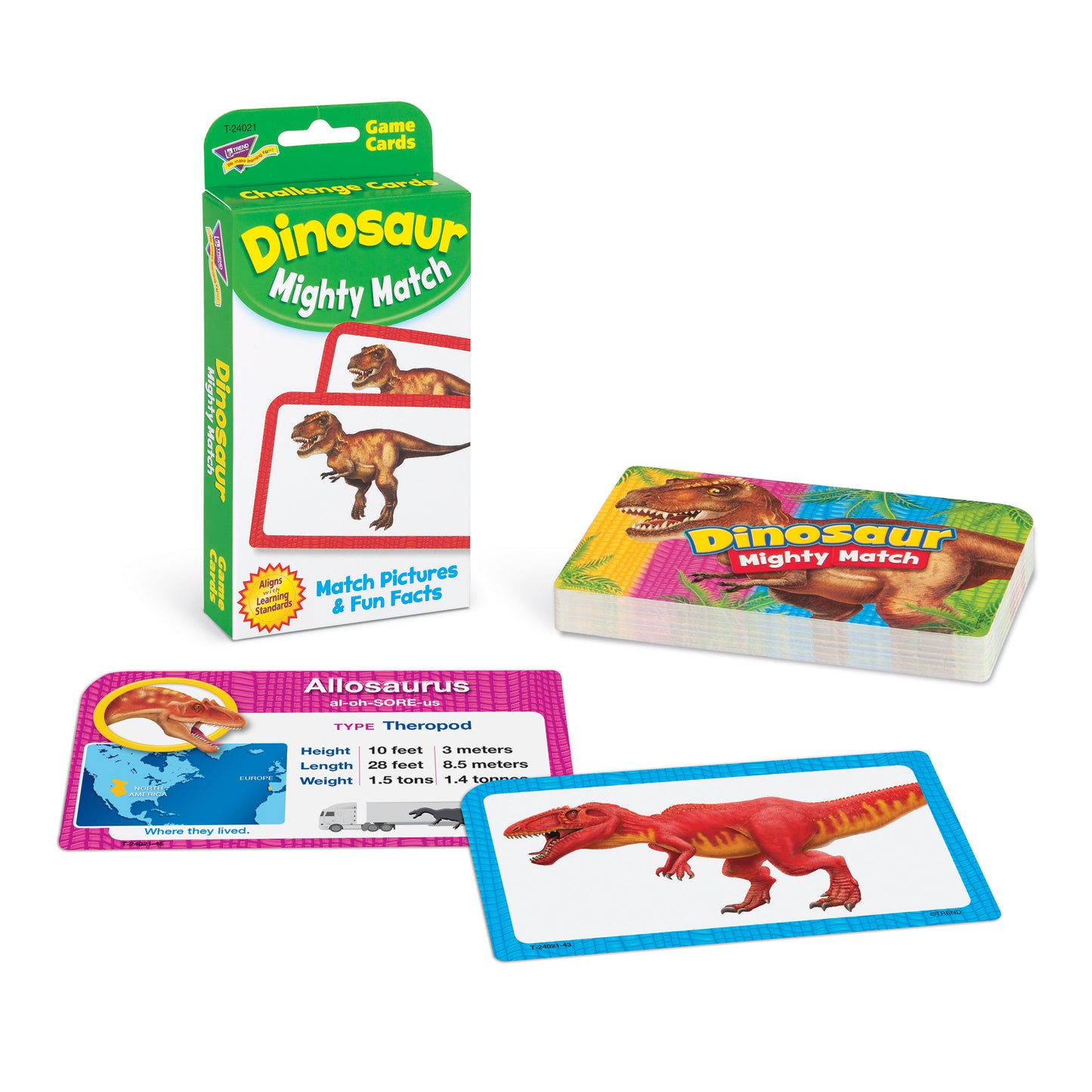 Dinosaur Mighty Match Challenge Cards®, 12 Packs