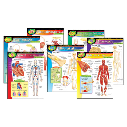 The Human Body Learning Charts Combo Pack, Set of 7