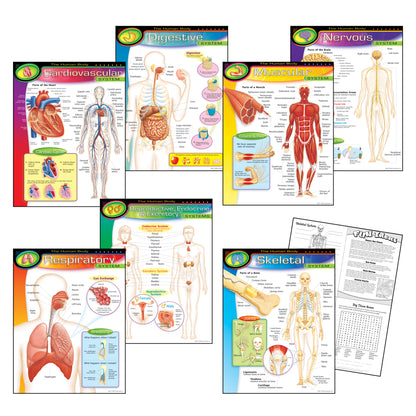 The Human Body Learning Charts Combo Pack, Set of 7