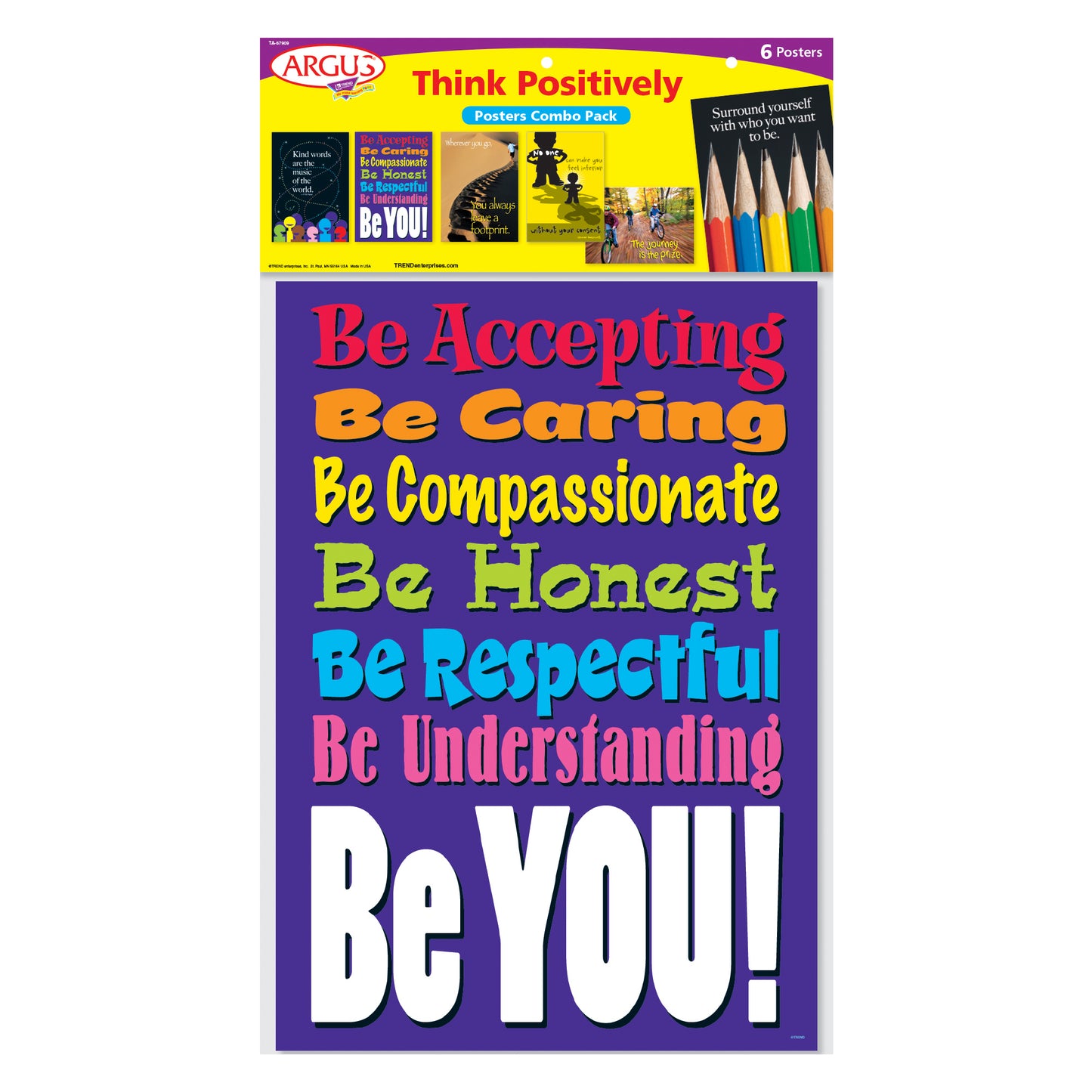 Think Positively ARGUS® Posters Combo Pack, Pack of 6