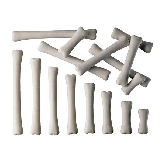 Dinosaur Bones Match & Measure Set