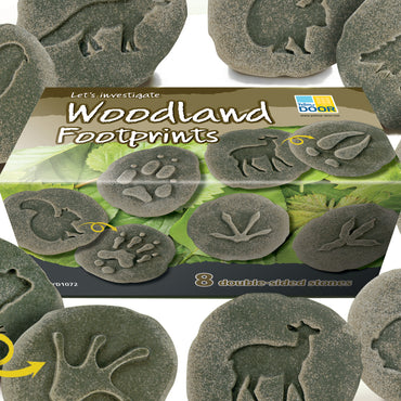 Let's Investigate Woodland Footprint Stones, Set of 8