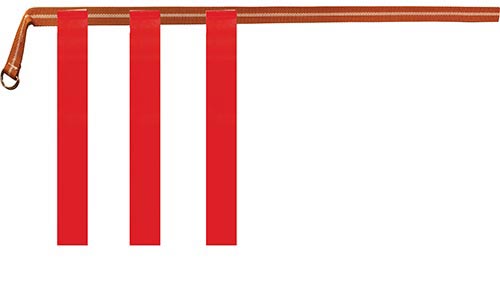 Rip Flag Football Belts - (12 Belts, 36 Flags) Large    - Red