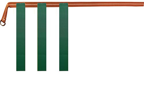 Rip Flag Football Belts - (12 Belts, 36 Flags) Large    - Green