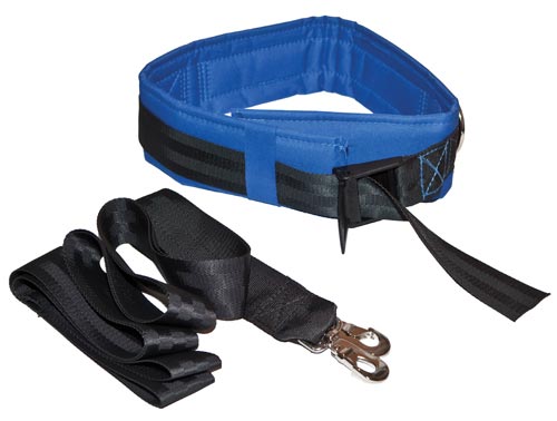 Spotting & Training Belt - Medium - Blue