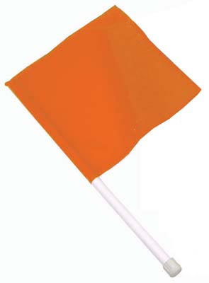 Hand-held Flag - Orange